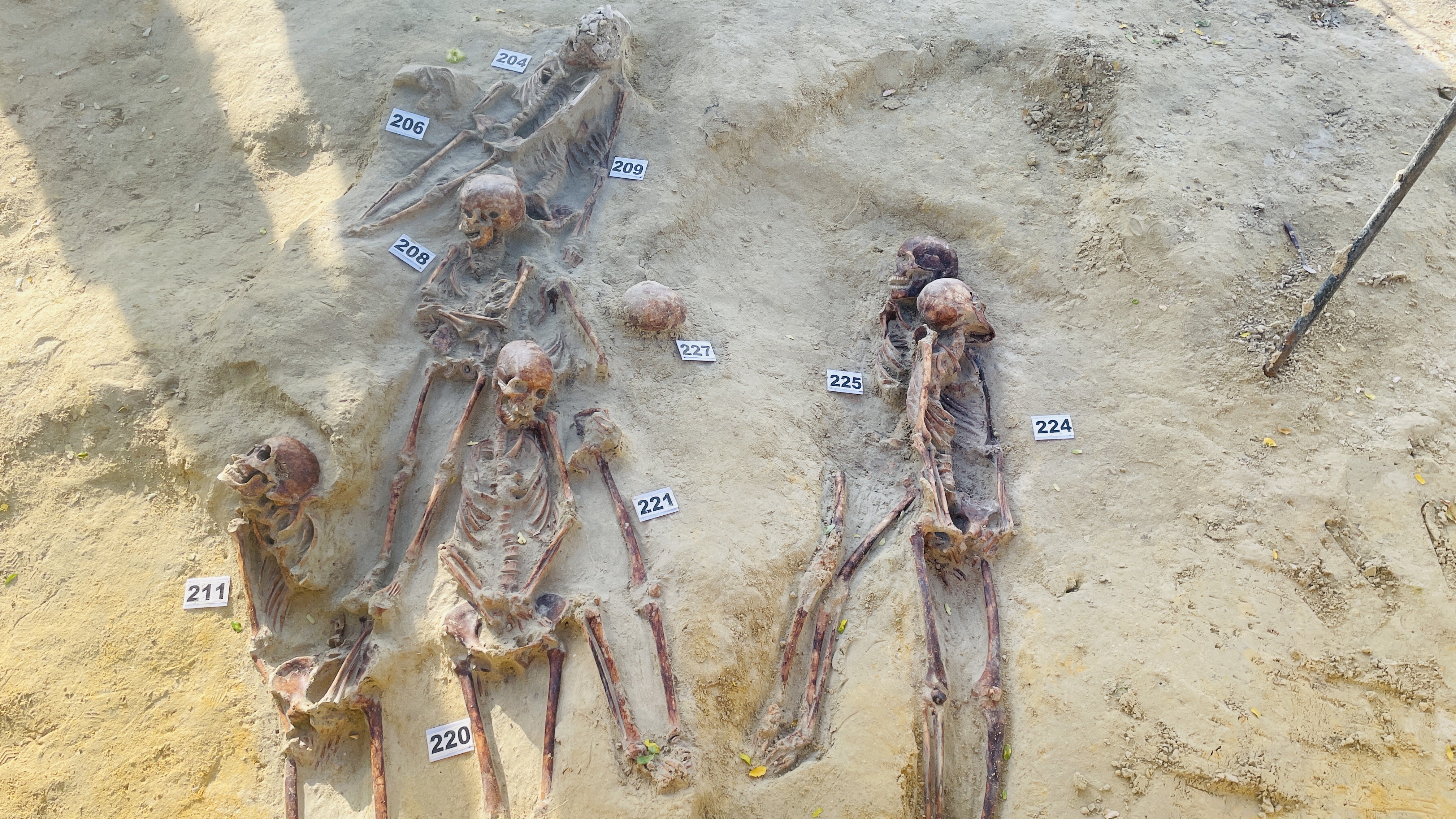 செம்மணியில் 8 எலும்புக்கூட்டு தொகுதிகள் குவியலாக அடையாளம்