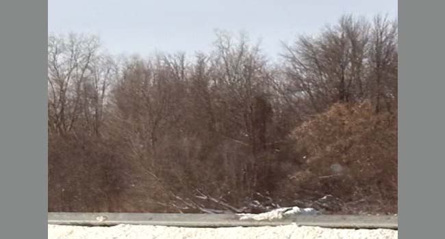 401, 402 இல் நெடுஞ்சாலை பாதை மூடல் மீண்டும் திறக்கப்படுகிறது