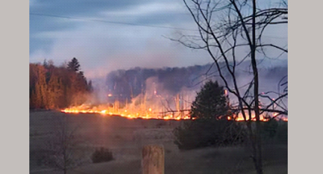 வடக்கு ஃப்ரான்டெனாக் காட்டுத்தீ கட்டுக்குள் இருப்பதாகத் தெரிகிறது