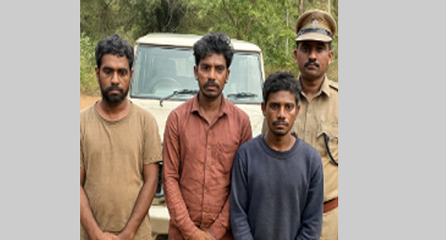 கர்நாடகாவில் வனவிலங்கு சரணாலயத்தில் புலி, 4 குட்டிகள் இறந்து கிடந்த சம்பவம்: 3 பேர் கைது