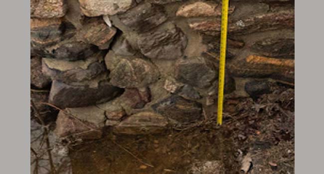 பெரிய ஒட்டாவா நதி வெள்ளத்தை நிராகரிக்க முடியாது: வாரியம்