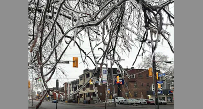 கிழக்கு ஒன்ராறியோ மற்றும் மேற்கு கியூபெக்கில் பள்ளிகள் மூடல், பேருந்துகள் ரத்து